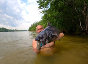 Person holding large catfish in natural waterway